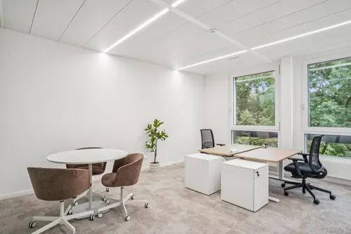 Bureaux privatifs YNEO Chancy 59 — vue 14