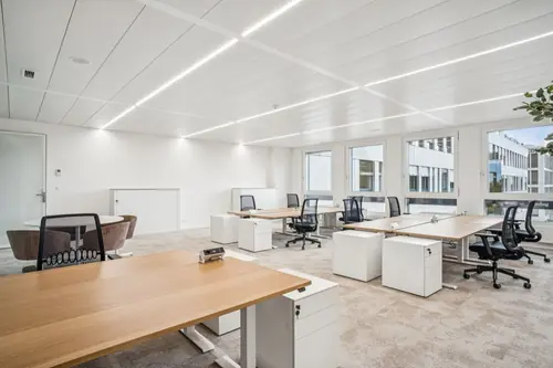 Bureaux privatifs YNEO Chancy 59 — vue 16