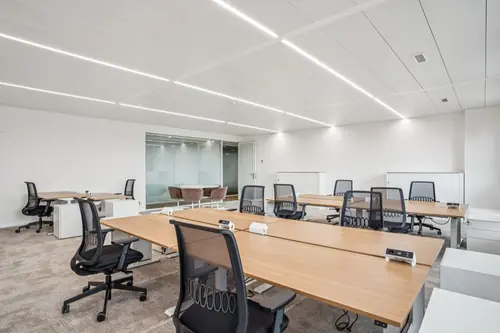 Bureaux privatifs YNEO Chancy 59 — vue 17